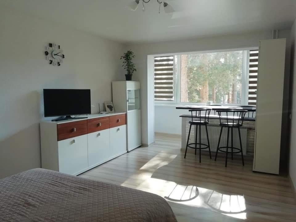 Light One Room Apartment Visaginas Exterior foto