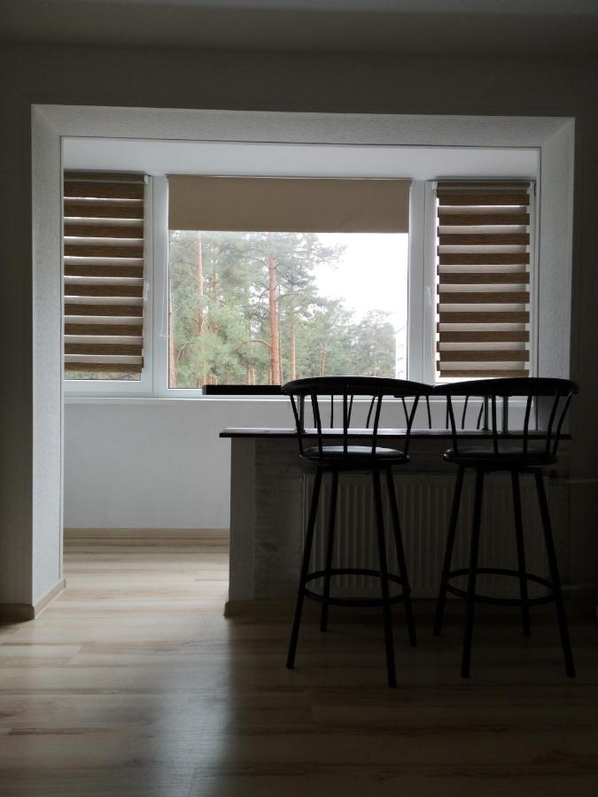 Light One Room Apartment Visaginas Exterior foto